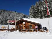 Berghutten tip Holzwurm