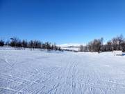 Gemakkelijke piste in Ramundberget