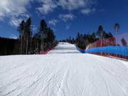 Gemakkelijke piste Vezzena