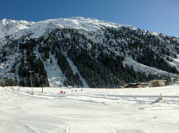 Mandarfen Mandarfen