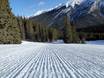 Pistepreparatie Banff-Lake Louise – Pistepreparatie Mt. Norquay – Banff