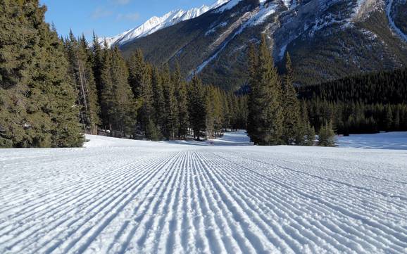 Pistepreparatie Sawback Range – Pistepreparatie Mt. Norquay – Banff