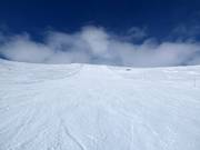 Piste nr. 11 Mortsen