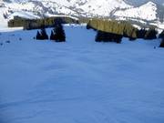 Buckelpiste bij de Sudelfeldkopf