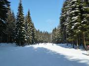 Zuidafdaling Ochsenkopf