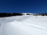 Brede afdaling nr. 8