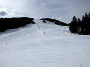 Pistes bij de 4-persoons stoeltjeslift Gschwandtkopf en bij de Brunnentallift