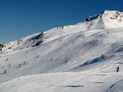 Sporen in de diepe sneeuw