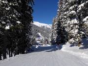 Makkelijke dalafdaling naar Gargellen