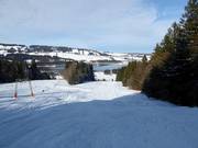 Reutle-afdaling bij de sleeplift