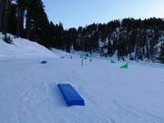 Kleine obstakels bij de transportband Bambi