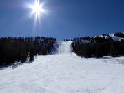 Zirmafdaling en steile helling