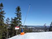 Lanzenbesneeuwing in Stöten