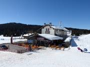 Horeca tip Osteria Coe