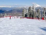 Beginnerspiste Campo Scuola Cermis
