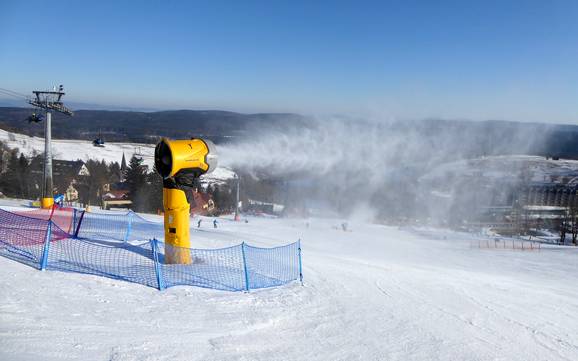 Sneeuwzekerheid Poolse Sudeten – Sneeuwzekerheid Zieleniec