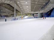 Beginnerspiste bij het dalstation