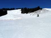 Gemakkelijke Weiherkopfabfahrt