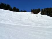 Moeilijke Weiherkopf FIS-herenafdaling