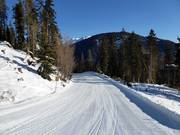 Dalafdaling nr. 1 naar Sillian