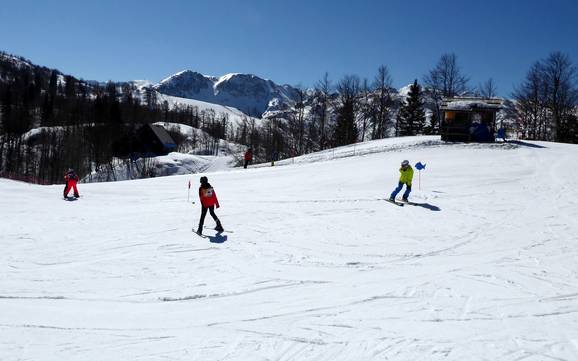 Familieskigebieden Julische Alpen – Gezinnen en kinderen Vogel – Bohinj