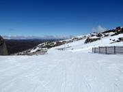 Verbindingspiste Conrod Straight