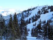 Uitzicht op de pistes bij de Eagle Ridge Chair