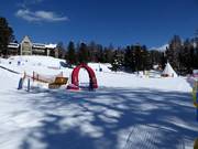 Tip voor de kleintjes  - Kinderland Suvretta van de Skischule Suvretta