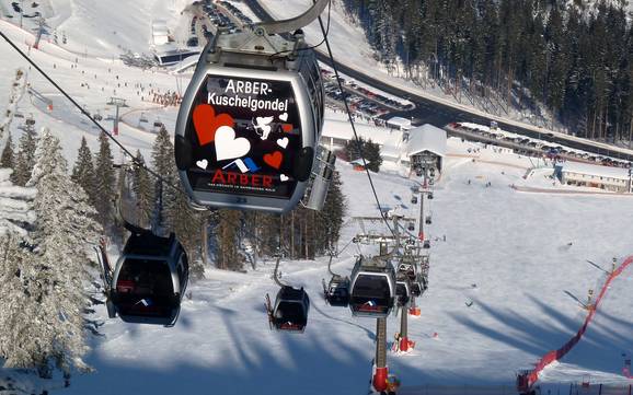 Zwieseler Winkel: beste skiliften – Liften Arber