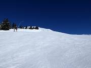 Afdaling Wildkogelbahn Berg-Mitte