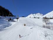 Dalafdaling nr. 47 Dieni