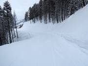 Makkelijke piste van de top tot in het dal