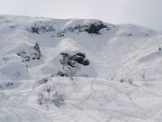 Achterzijde van de Douce