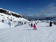 Oefenterrein Alpine Meadow