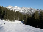 Gemakkelijke familiewedafdaling