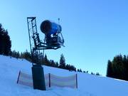 Sneeuwkanon op de Hausberg