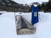 Grizzly Carpet - Transportband/Moving Carpet