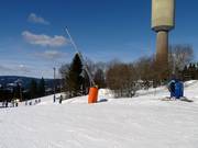 Sneeuwlansen in Oslo Vinterpark