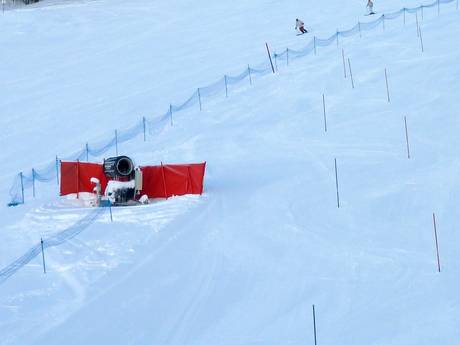 Sneeuwzekerheid Paradiski – Sneeuwzekerheid Les Arcs/Peisey-Vallandry (Paradiski)