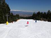 Zeer eenvoudige piste Ski road №1a bij de sleeplift Vlek Chalin