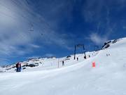 Gletscher Skilift Titlis - Sleeplift met T-beugel/Ankerlift