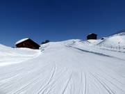 Oefenweide in Cuolm Sura