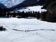 Langlaufen in Splügen