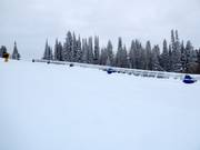 Oefenweide met transportband bij het bergstation