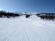 Makkelijke piste in het onderste gedeelte van de Kåppasliften