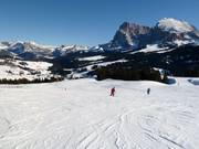 Piste bij de stoeltjeslift Floralpina