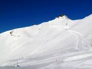 Afdalingen Nebelhorn-Gipfelhang