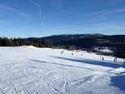 Makkelijke pistes bij de Thurnhofliften