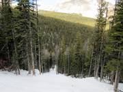 Steil gaat het bergafwaarts in de Monster Glades