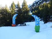 Tip voor de kleintjes 